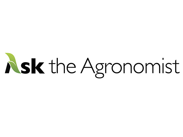 Ask The Agronomist (Progressive Farmer image by eKonomics)